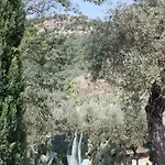 Azienda Agrituristica Biologica Il Querceto