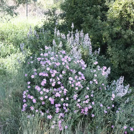 Agroturismo Azienda Agrituristica Biologica Il Querceto Santa Severina