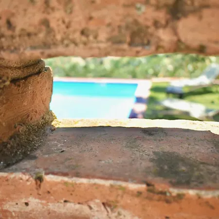 Azienda Agrituristica Biologica Il Querceto Farm stay *