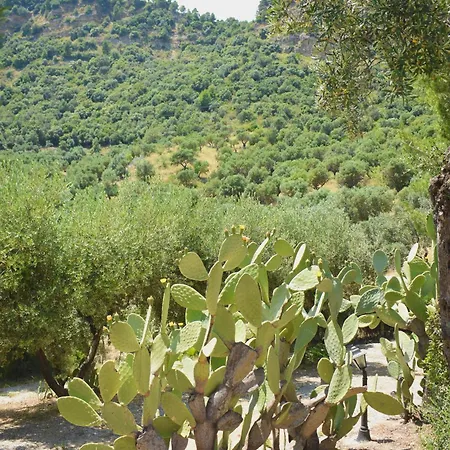 Azienda Agrituristica Biologica Il Querceto * Αγία Σεβερίνα