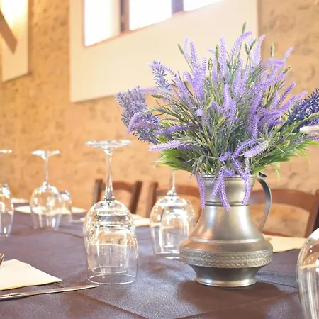 Azienda Agrituristica Biologica Il Querceto Farm stay