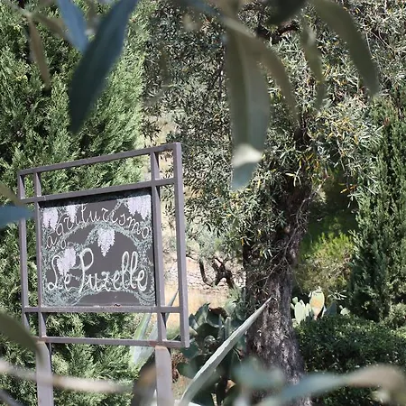 Agroturismo Azienda Agrituristica Biologica Il Querceto