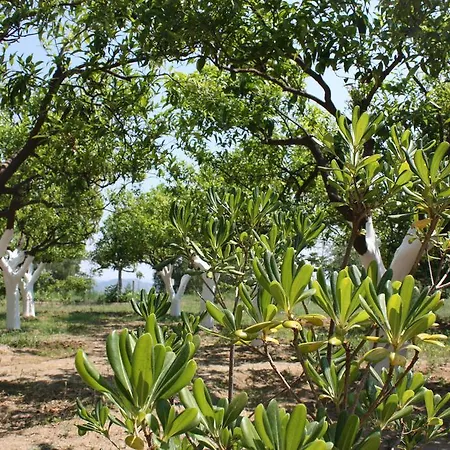Azienda Agrituristica Biologica Il Querceto Santa Severina