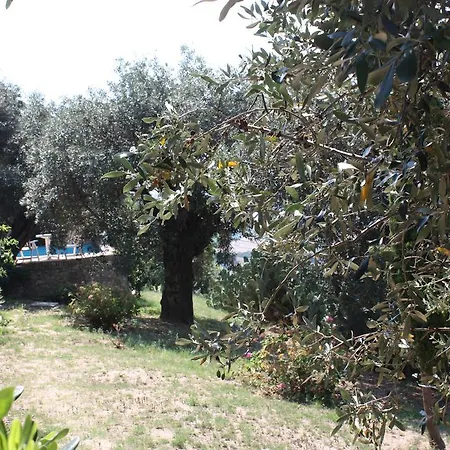 Azienda Agrituristica Biologica Il Querceto