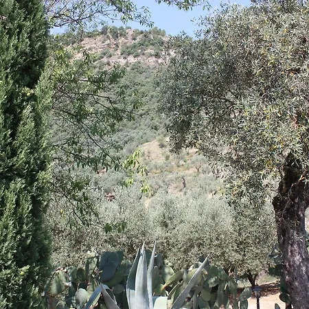 Azienda Agrituristica Biologica Il Querceto