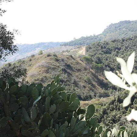 Agroturismo Azienda Agrituristica Biologica Il Querceto