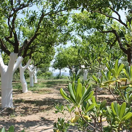 Agroturismo Azienda Agrituristica Biologica Il Querceto *