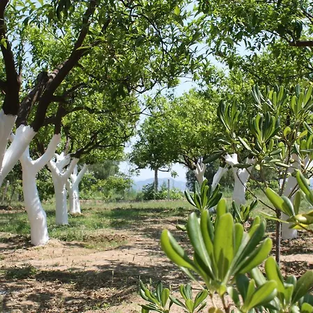 Agroturismo Azienda Agrituristica Biologica Il Querceto