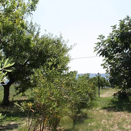 Azienda Agrituristica Biologica Il Querceto Santa Severina