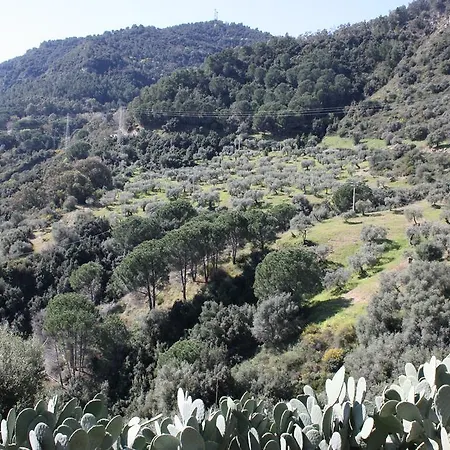 Agroturismo Azienda Agrituristica Biologica Il Querceto *