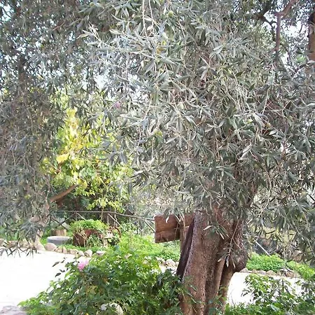 Azienda Agrituristica Biologica Il Querceto Κατάλυμα σε φάρμα