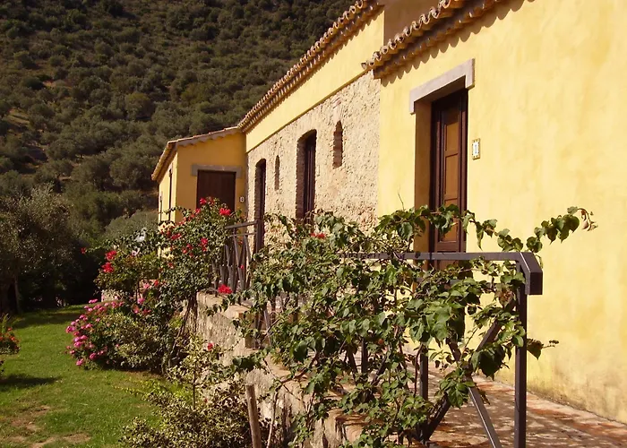 Azienda Agrituristica Biologica Il Querceto