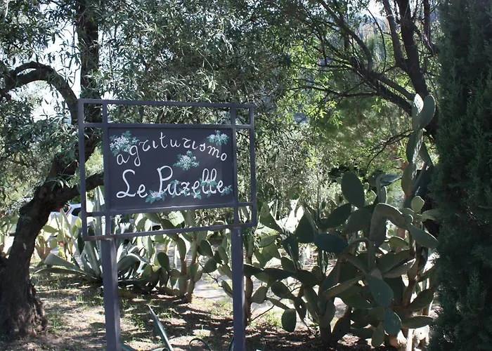 Azienda Agrituristica Biologica Il Querceto