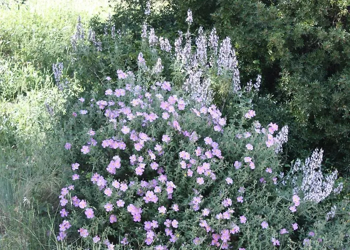 בית חווה Azienda Agrituristica Biologica Il Querceto Santa Severina