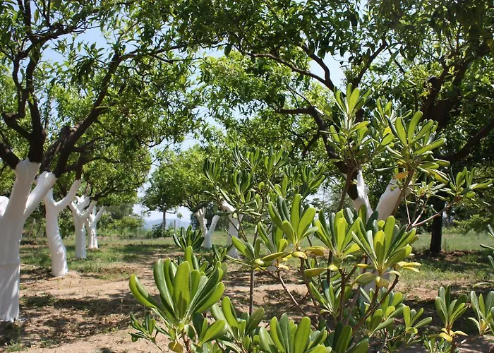 Azienda Agrituristica Biologica Il Querceto Santa Severina