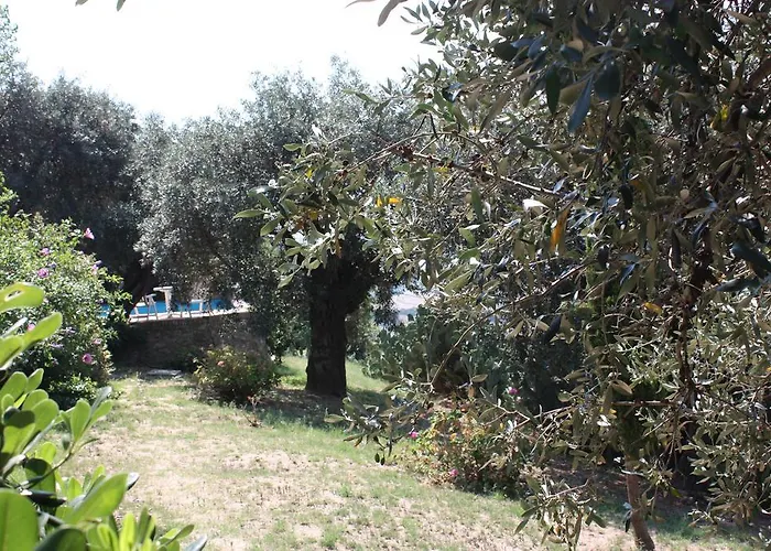 Azienda Agrituristica Biologica Il Querceto