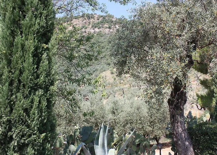 Azienda Agrituristica Biologica Il Querceto