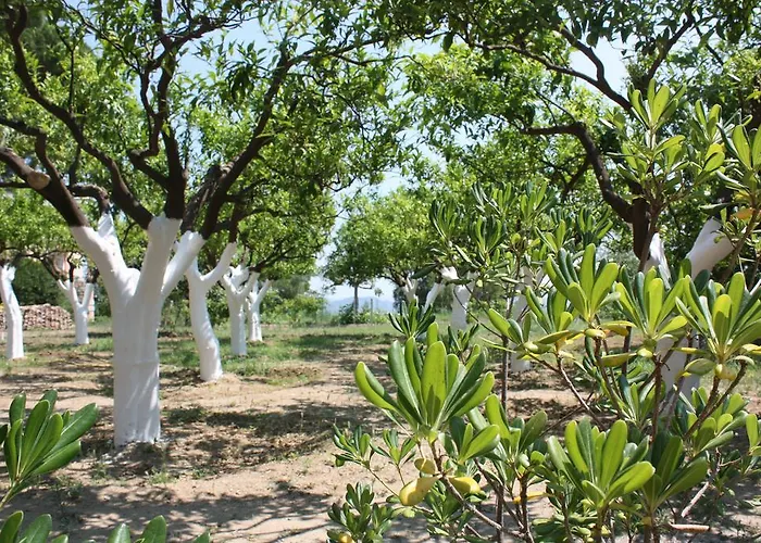 בית חווה Azienda Agrituristica Biologica Il Querceto *