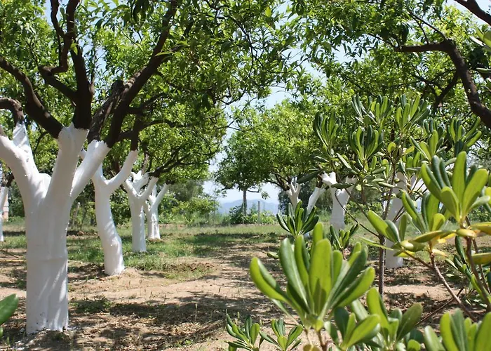 בית חווה Azienda Agrituristica Biologica Il Querceto