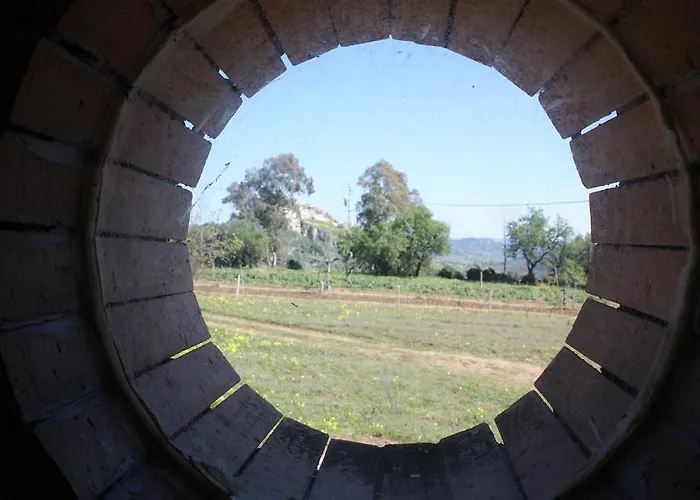 Azienda Agrituristica Biologica Il Querceto